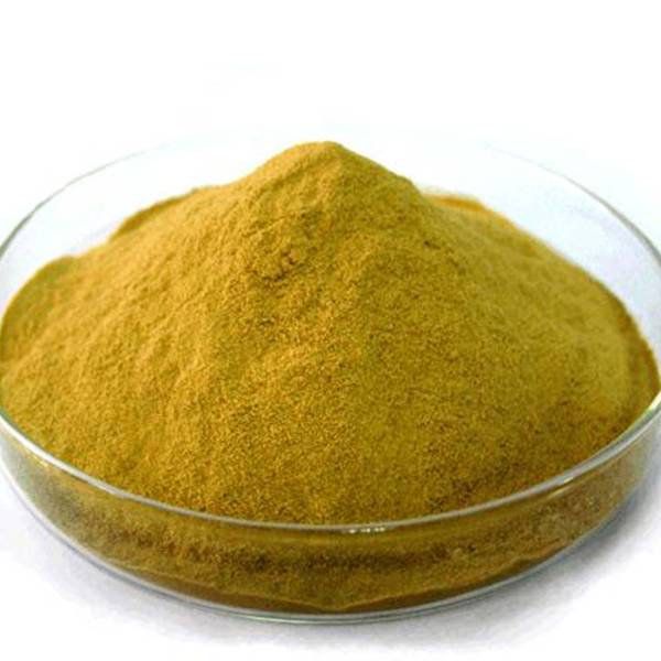 Chelated Iron (As Fe-EDTA-12 percent) in Pune