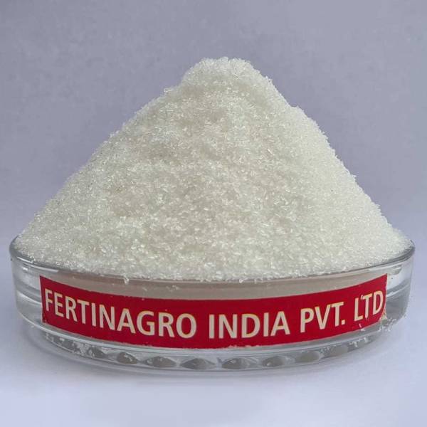 N:P:K - 19:19:19 in Pune