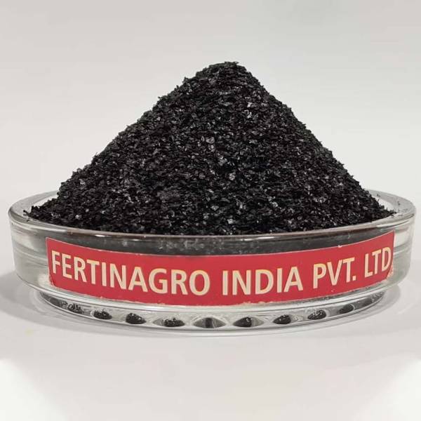 Seaweed Extract Flakes in Pune